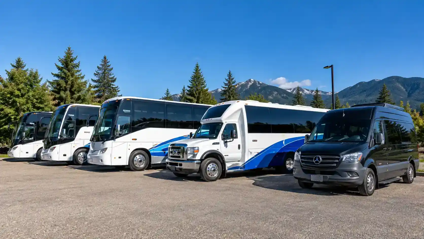 Several buses and a dark van parked in a lot, with trees and mountains behind them.
